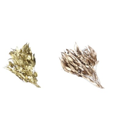 FEUILLE D'EUCALYPTUS NOEL à la pièce