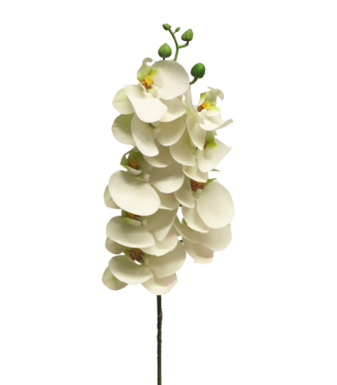 FLEUR PHALAENOPSIS BORA 77CM à la pièce