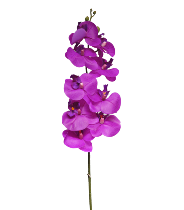 FLEUR PHALAENOPSIS BORA 108CM à la pièce
