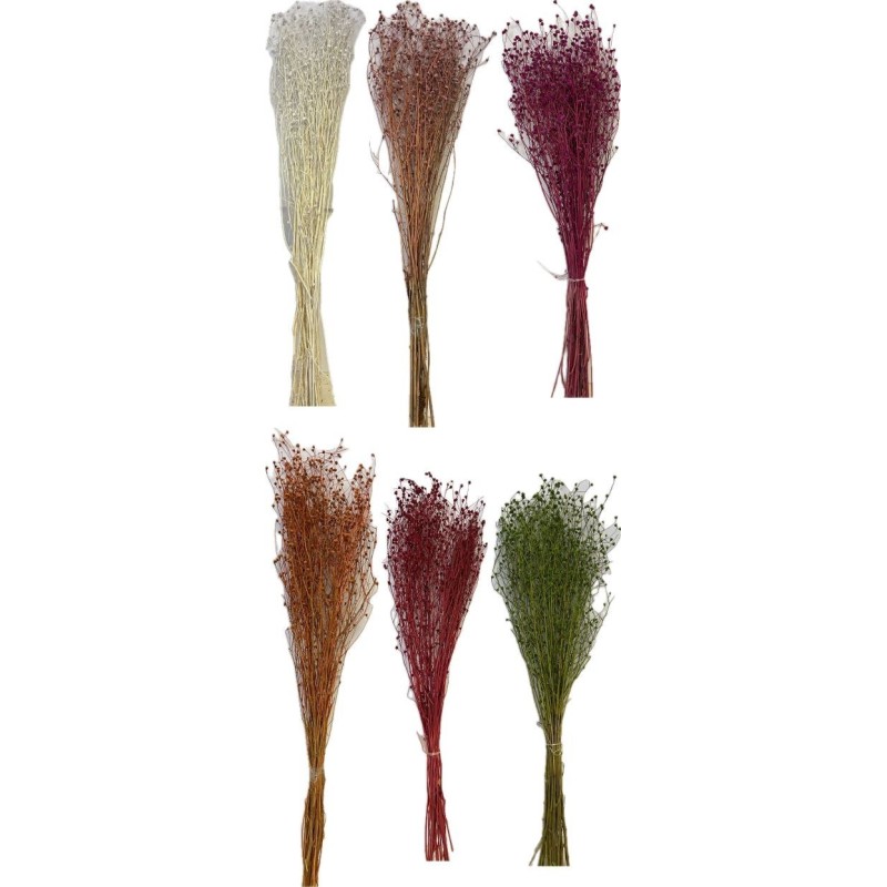 CENTAUREA MINI SECHE COULEURS sac 150gr