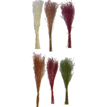 CENTAUREA MINI SECHE COULEURS sac 150gr