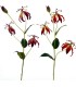 FLEUR GLORIOSA LILY 82CM à la pièce
