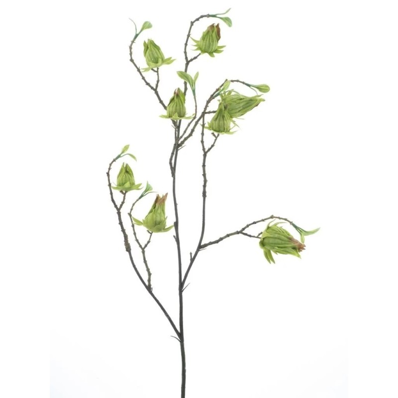 FLEUR PHYSALIS SAUVAGE 75CM à la pièce