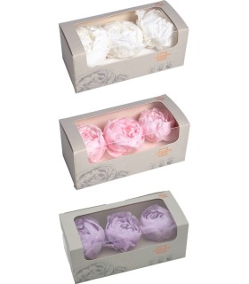 VERDISSIMO-PEONY boite 3P