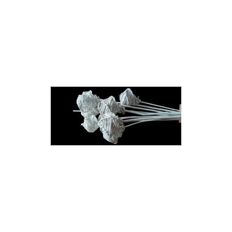 LATA TORCHE sac 10P
