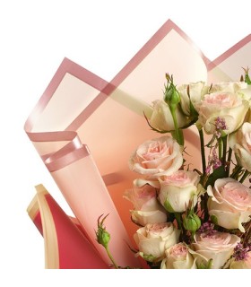 PAPIER POLYMAT RAME 58X58CM les 24P