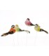 OISEAU Long.12CM aile+queue plume /12P
