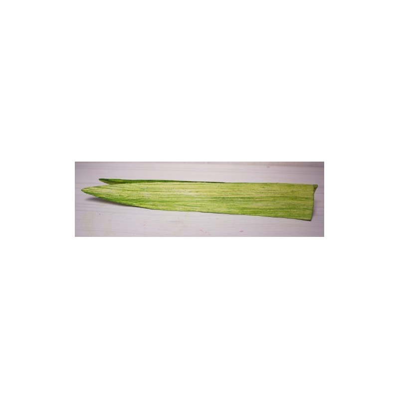 PETALE 'LILY" H25CM sac de 50 pièces