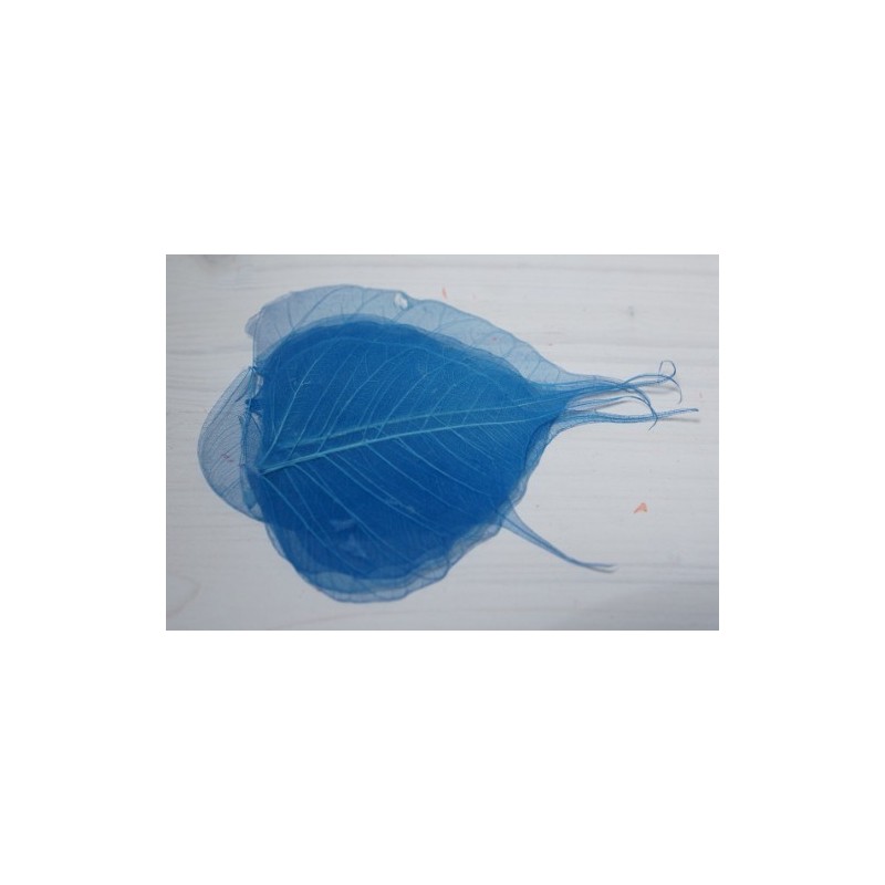 FEUILLE SKELETON COULEUR/ 200p