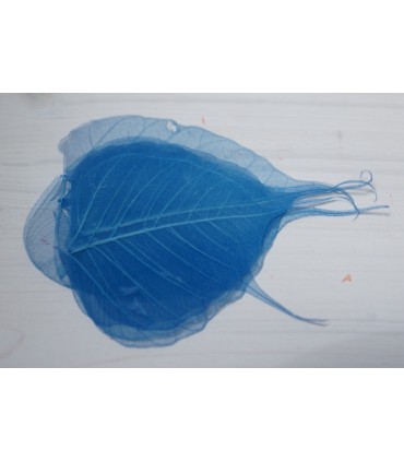 FEUILLE SKELETON COULEUR/ 200p