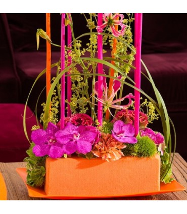 MOUSSE COULEUR OASIS BRIQUE 23X11X8/ 4p