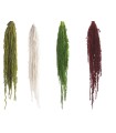 VERDISSIMO-AMARANTHUS 40/70CM
