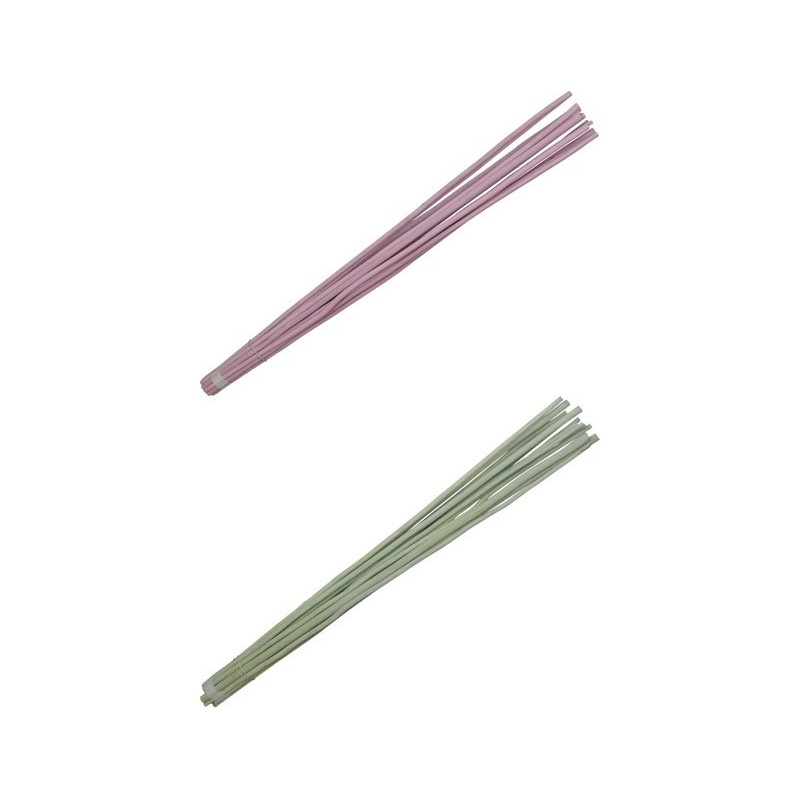 FAGOT OSIER COULEUR 100CM /15 branches