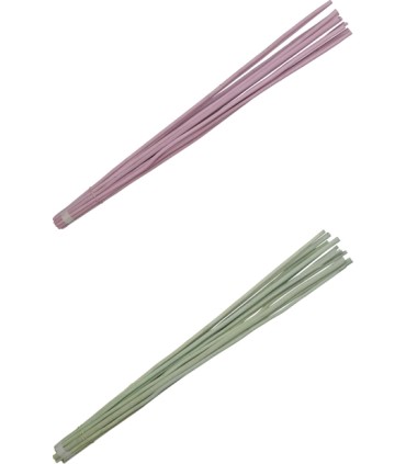 FAGOT OSIER COULEUR 100CM /15 branches