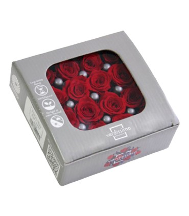 VERDISSIMO-ROSE Princesse 16P