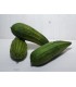 FAGOT MINI FRUIT 8/12CM /10P