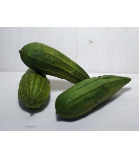 FAGOT MINI FRUIT 8/12CM /10P