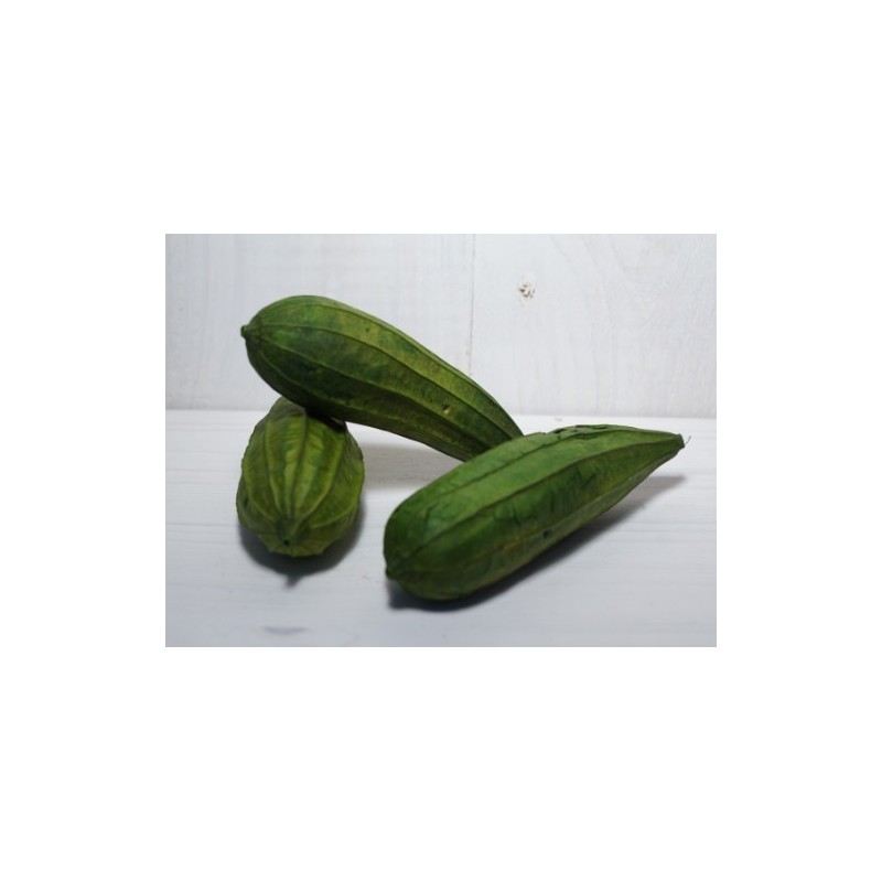 FAGOT MINI FRUIT 8/12CM /10P