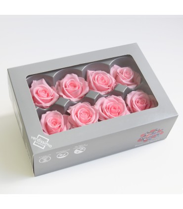 VERDISSIMO-ROSE Milieu 8P