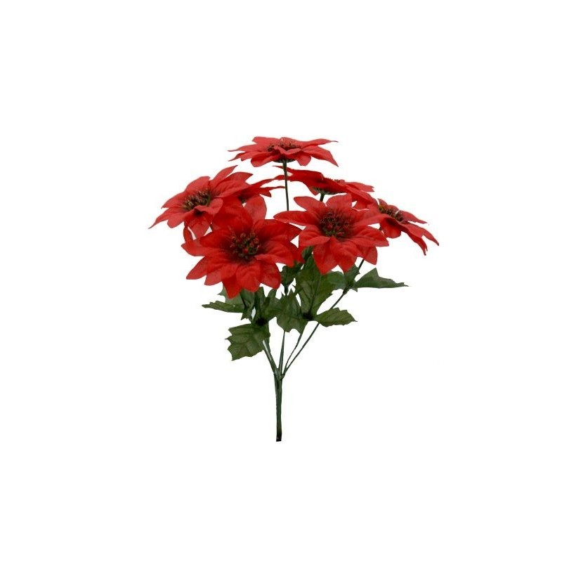 BOUQUET POINSETTIA 7 fleurs /24P