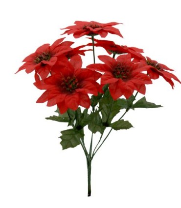 BOUQUET POINSETTIA 7 fleurs /24P