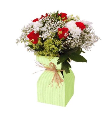 VASE BASE KRAFT+plastique H21CM/20P