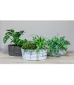 JARDINIERE ORCHIDEE 33X15 H15CM /2P