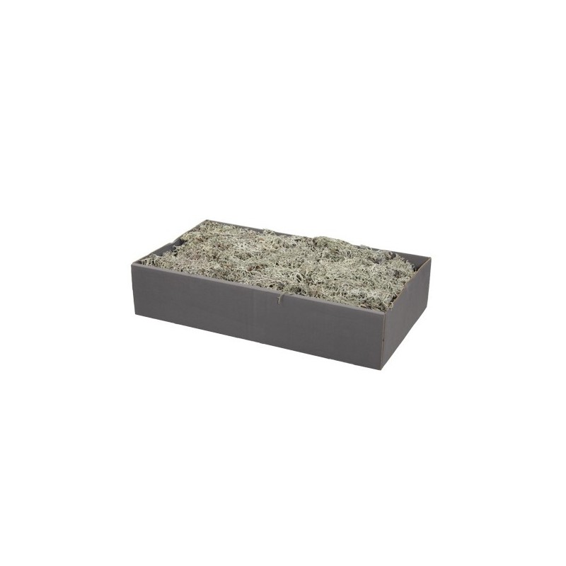 MOUSSE lichen BOITE 500gr