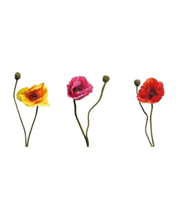 FLEURS PAVOT RHOES BEAUTY 60CM/1P