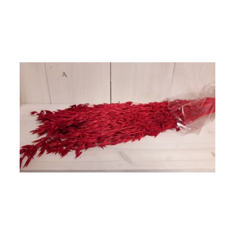 AVOINE COULEUR SAC 150gr