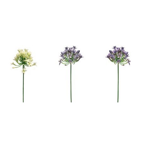 FLEUR AGAPANTHE LADY 75CM à la pièce