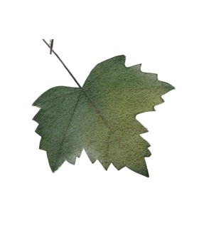 FEUILLE D'AUTOMNE 27X18CM les 6P