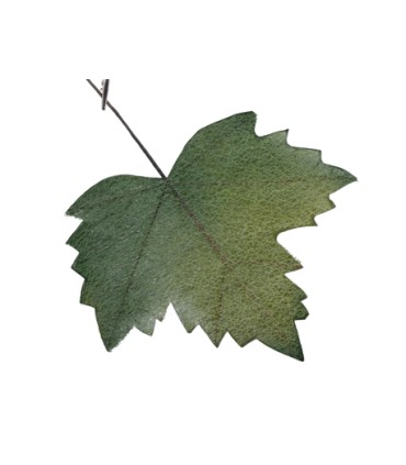 FEUILLE D'AUTOMNE 27X18CM les 6P