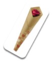CONE A ROSE 53X15X3.5CM Fantaisie les 50P