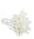 VERDISSIMO-MING FERN WHITE le sachet