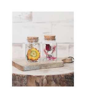 VERRE BOCAL liège 04.5 H7.5CM les 12P