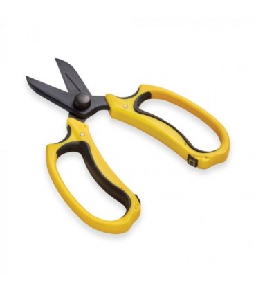 OASIS CECATCIZ pièce 32-00027F