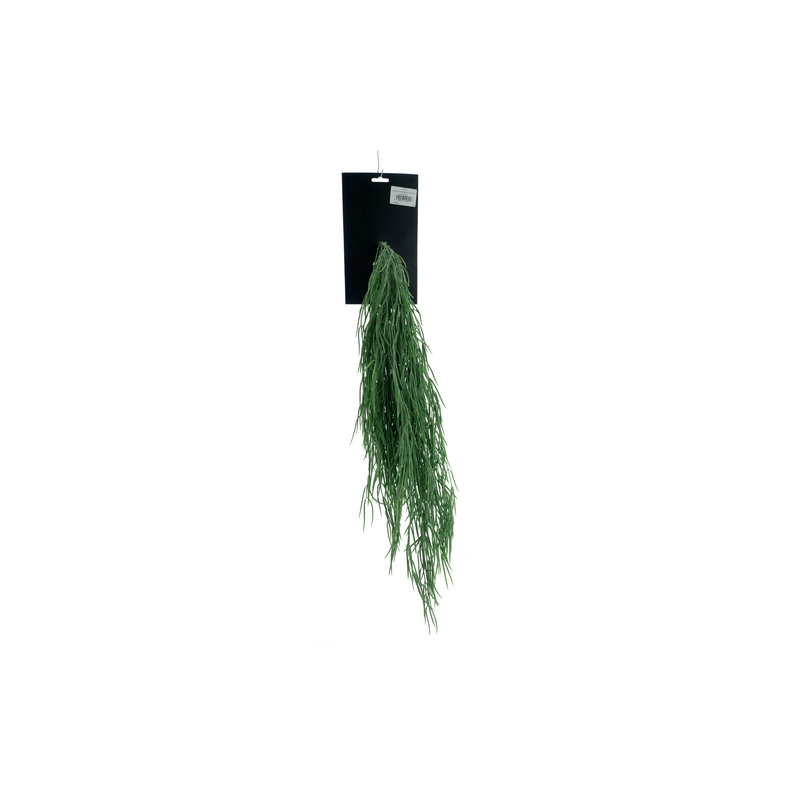FLEUR SENECIO H65CM piece