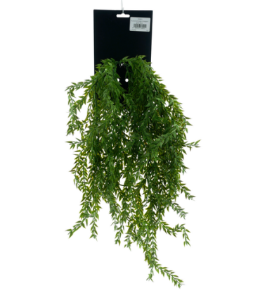 FLEUR RUSCUS BUSH LARGE H65CM piece