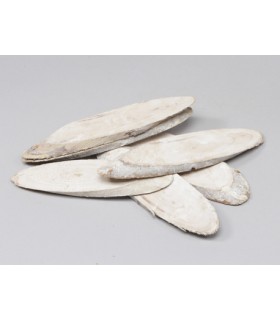 TRANCHE DE BOIS NATUREL 20 à 22CM les 5P