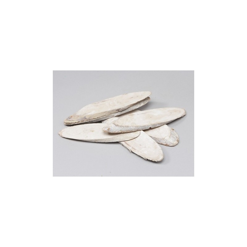 TRANCHE DE BOIS NATUREL 20 à 22CM les 5P