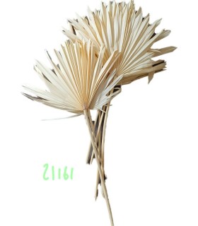 SUN SPEAR BLANC MM 2538P001 les 6P