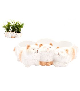 C POT 3 CHATS CAMEL /2P