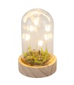 VERRE CLOCHE SUR SOCLE LED FLEUR H14CM O8.5 /4P