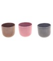 C.POT COULEUR 013 H13.5CM les 8P