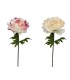 FLEUR PIVOINE à la tige 050 H135CM