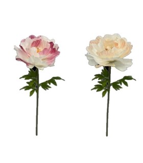 FLEUR PIVOINE à la tige 050 H135CM