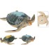 TORTUE MARITIME ASSORT. les 2P