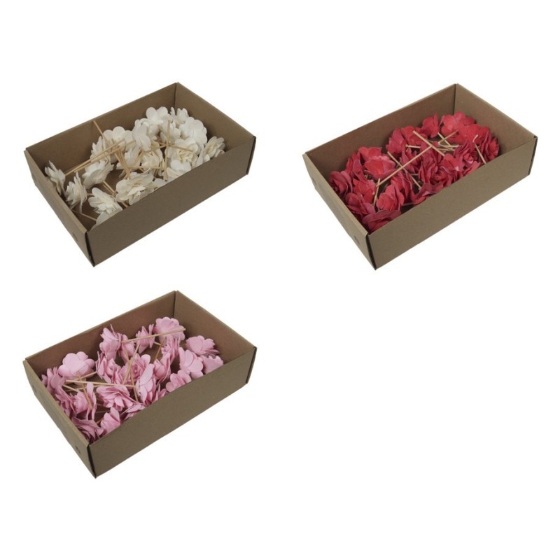ROSE BOIS O6CM LES 23 P