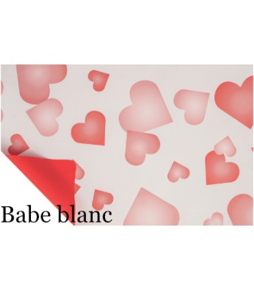 PAPIER POLYMAT BICOLORE 80cm x 40M